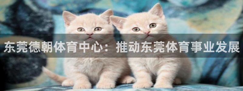 意昂5(KGAME)集团：东莞德朝体育中心：推动东莞体育事业