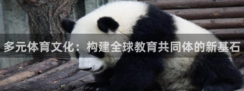 意昂5(KGAME)体育平台是正规平台吗安全吗：多元体育文化