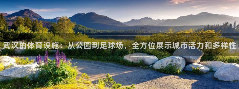 意昂5(KGAME)体育平台注册流程图：武汉的体育设施：从公