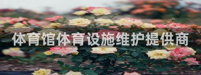 意昂5(KGAME)体育平台注册流程视频：体育馆体育设施维护