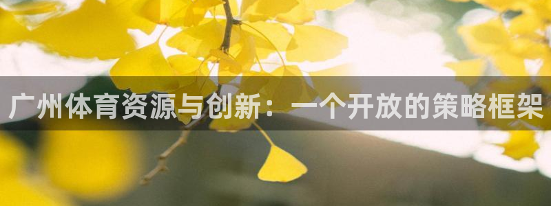 意昂5(KGAME)新能源：广州体育资源与创新：一个开放的策