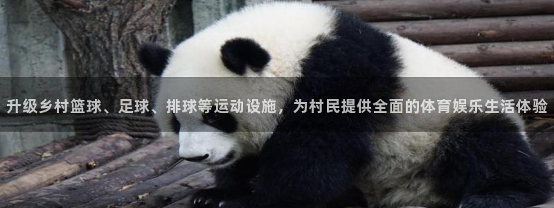 意昂5(KGAME)体育招商电话号码是多少号：升级乡村篮球、 