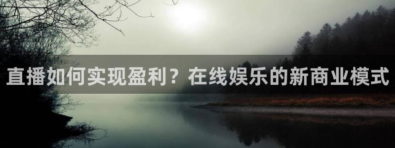 雨燕360体育nba直播免费：直播如何实现盈利？在线娱乐的新商业模式