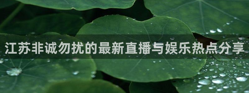 360直播足球直播：江苏非诚勿扰的最新直播与娱乐热点分享
