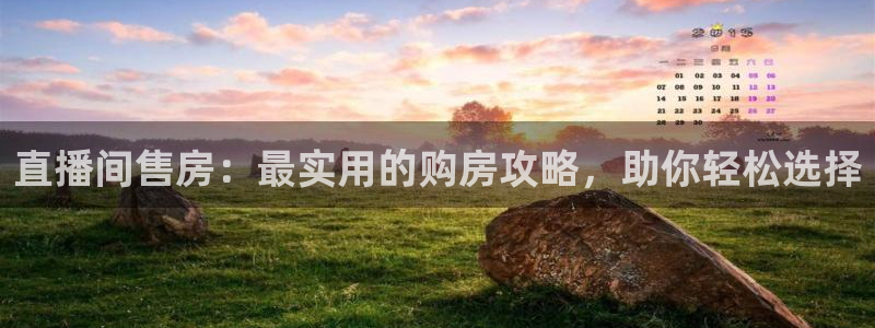 360足球雨燕直播：直播间售房：最实用的购房攻略，助你轻松选择