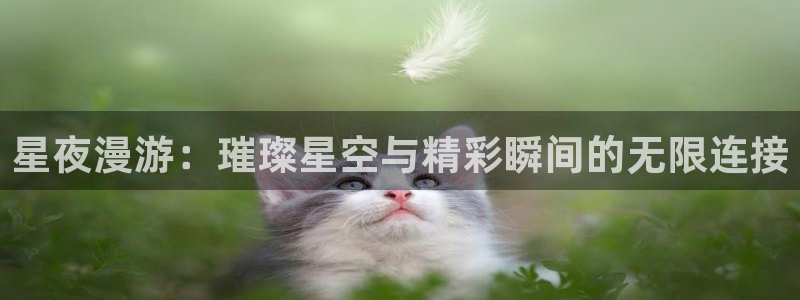 360体育直播无插件高清24：星夜漫游：璀璨星空与精彩瞬间的无限连接