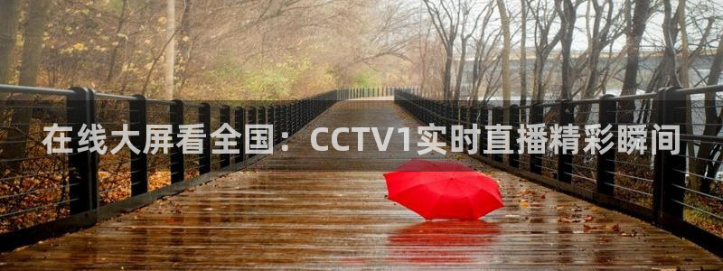 360篮球直播赛事：在线大屏看全国：CCTV1实时直播精彩瞬间