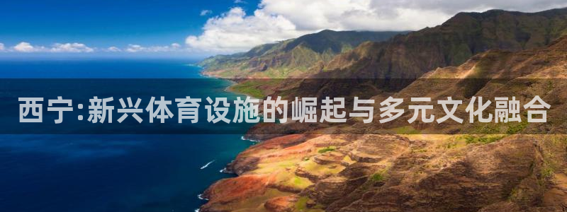 意昂5(KGAME)代理：西宁:新兴体育设施的崛起与