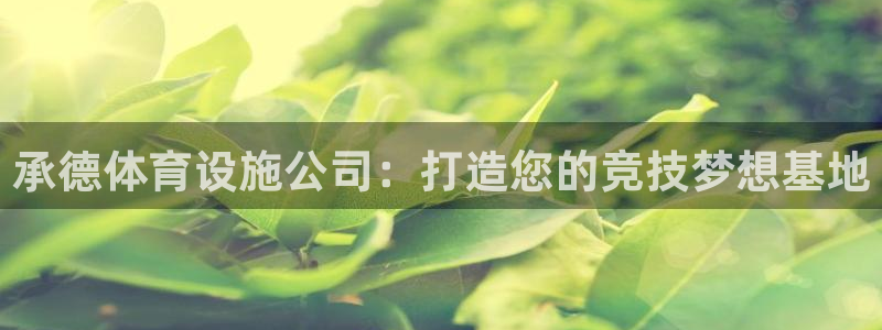 意昂5(KGAME)集团logo：承德体育设施公司：