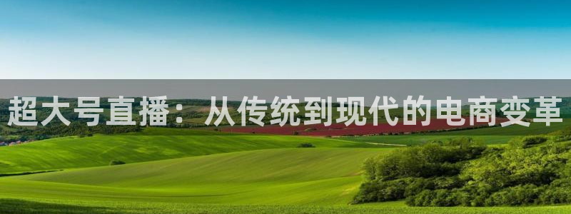 360体育免费直播在线观看：超大号直播：从传统到现代的电商变革