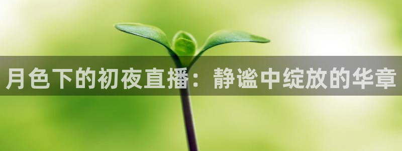 360雨燕直播篮球：月色下的初夜直播：静谧中绽放的华章