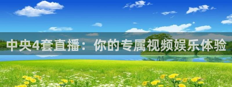 雨燕360体育免费直播