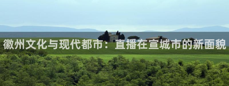 雨燕360体育免费直播小仙儿
