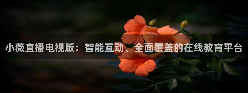 雨燕360体育直播nba免费观看