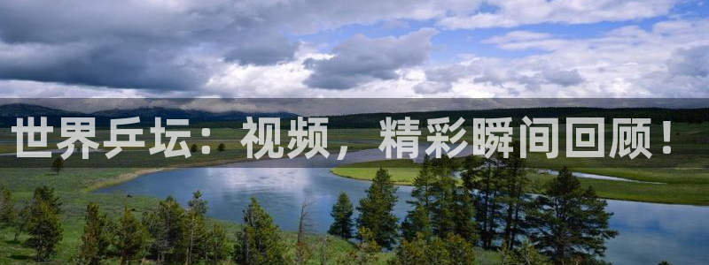 雨燕360体育