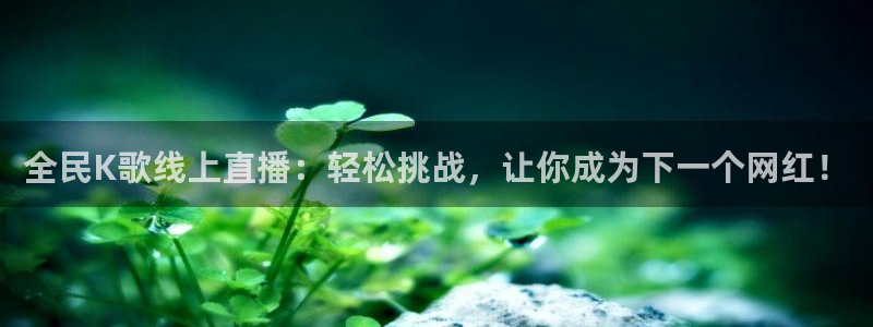 nba火箭比赛直播360：全民K歌线上直播：轻松挑战，让你成为下一个网红！